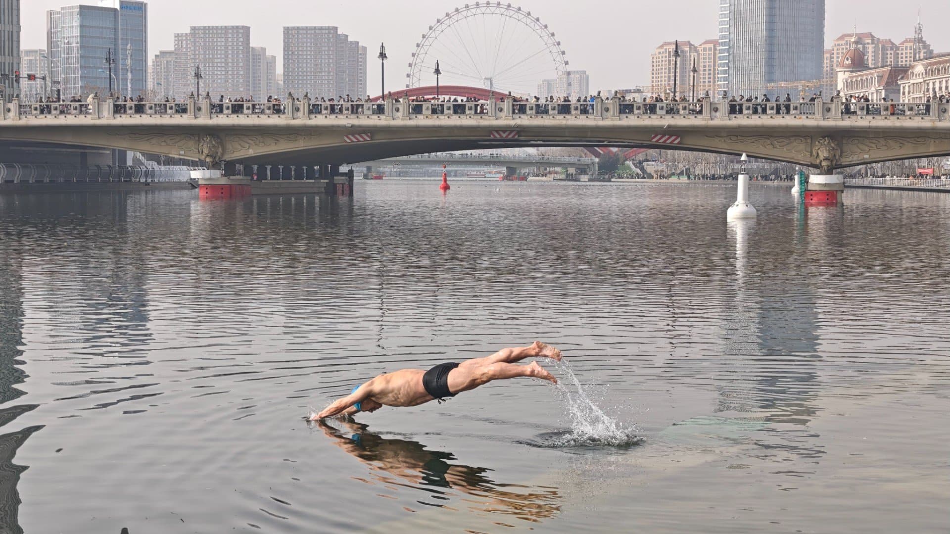 狮子林桥天津伯伯跳水